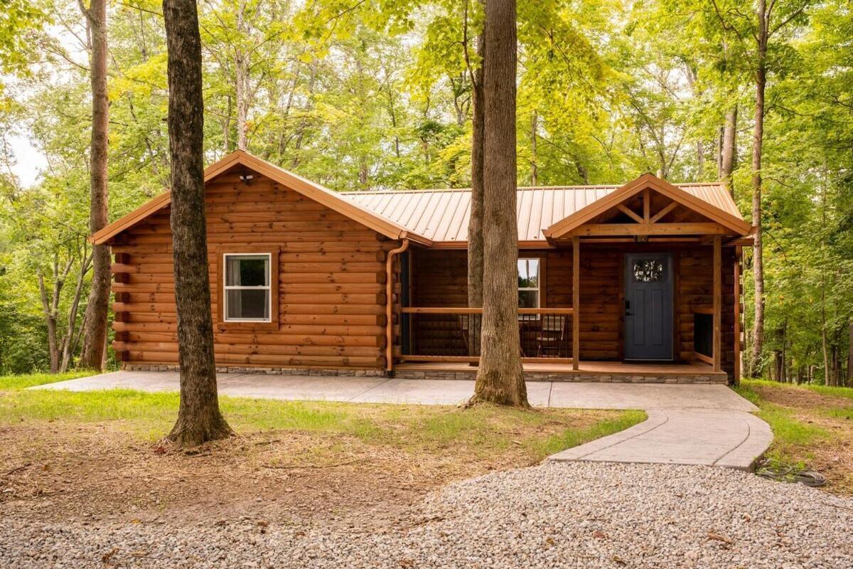 Secluded Wooded Cabin Near The Hocking Hills New Straitsville Ngoại thất bức ảnh
