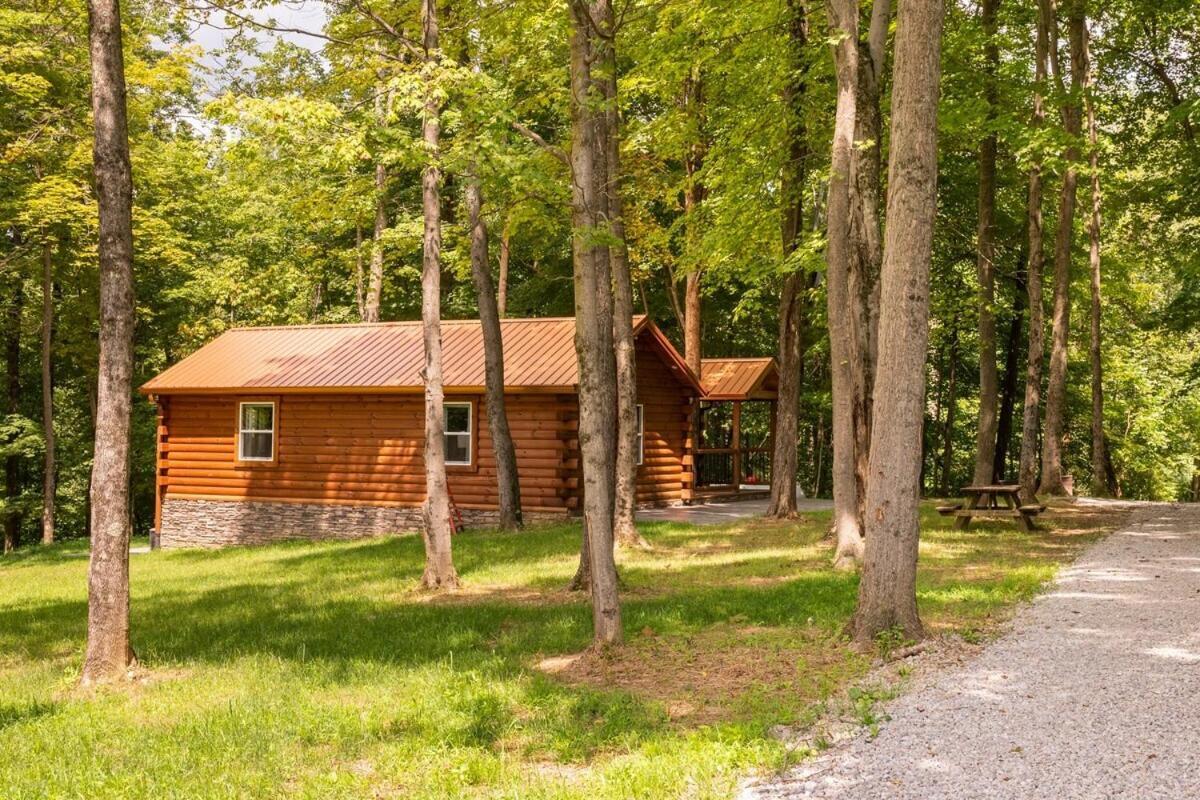 Secluded Wooded Cabin Near The Hocking Hills New Straitsville Ngoại thất bức ảnh